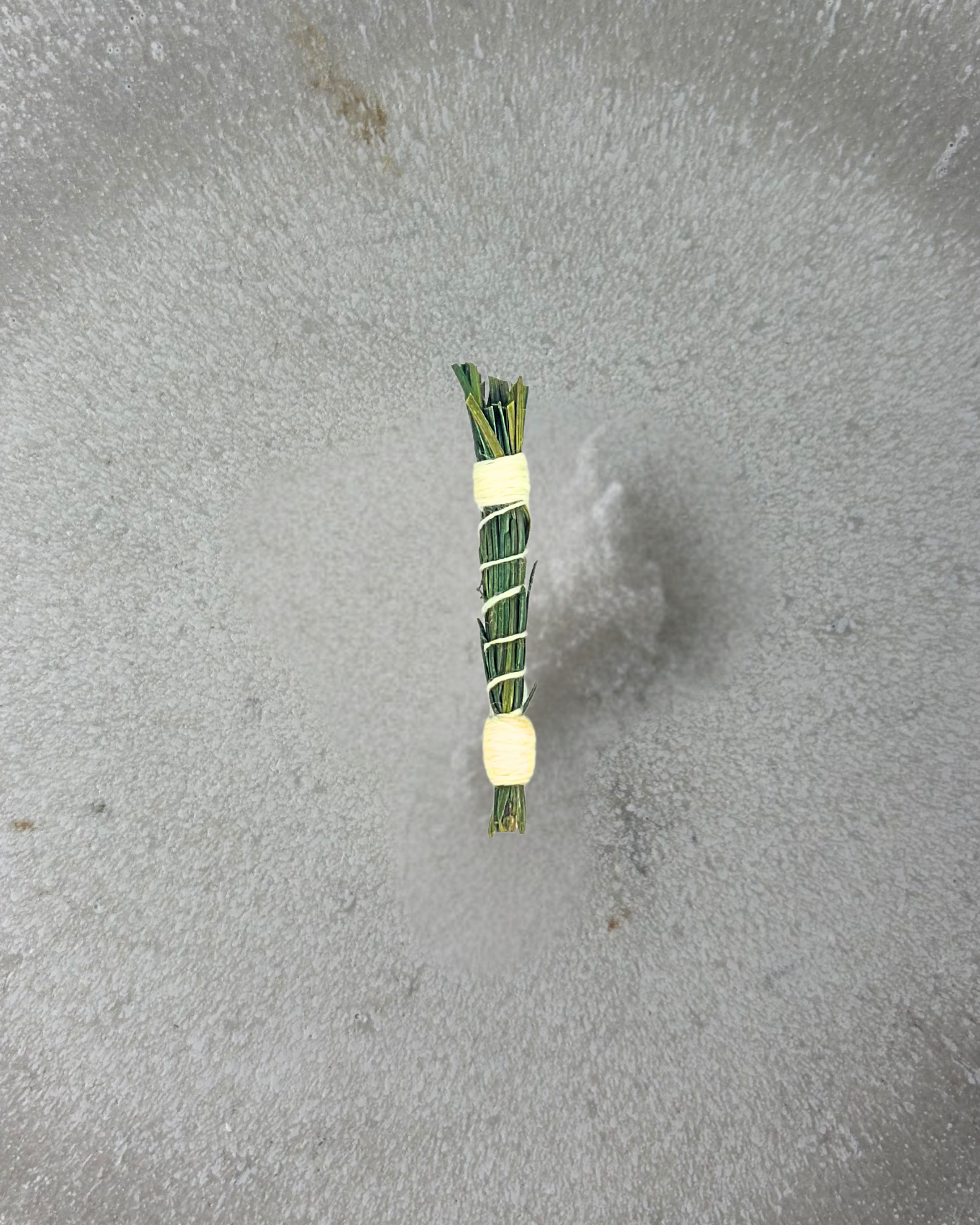 Pine Element