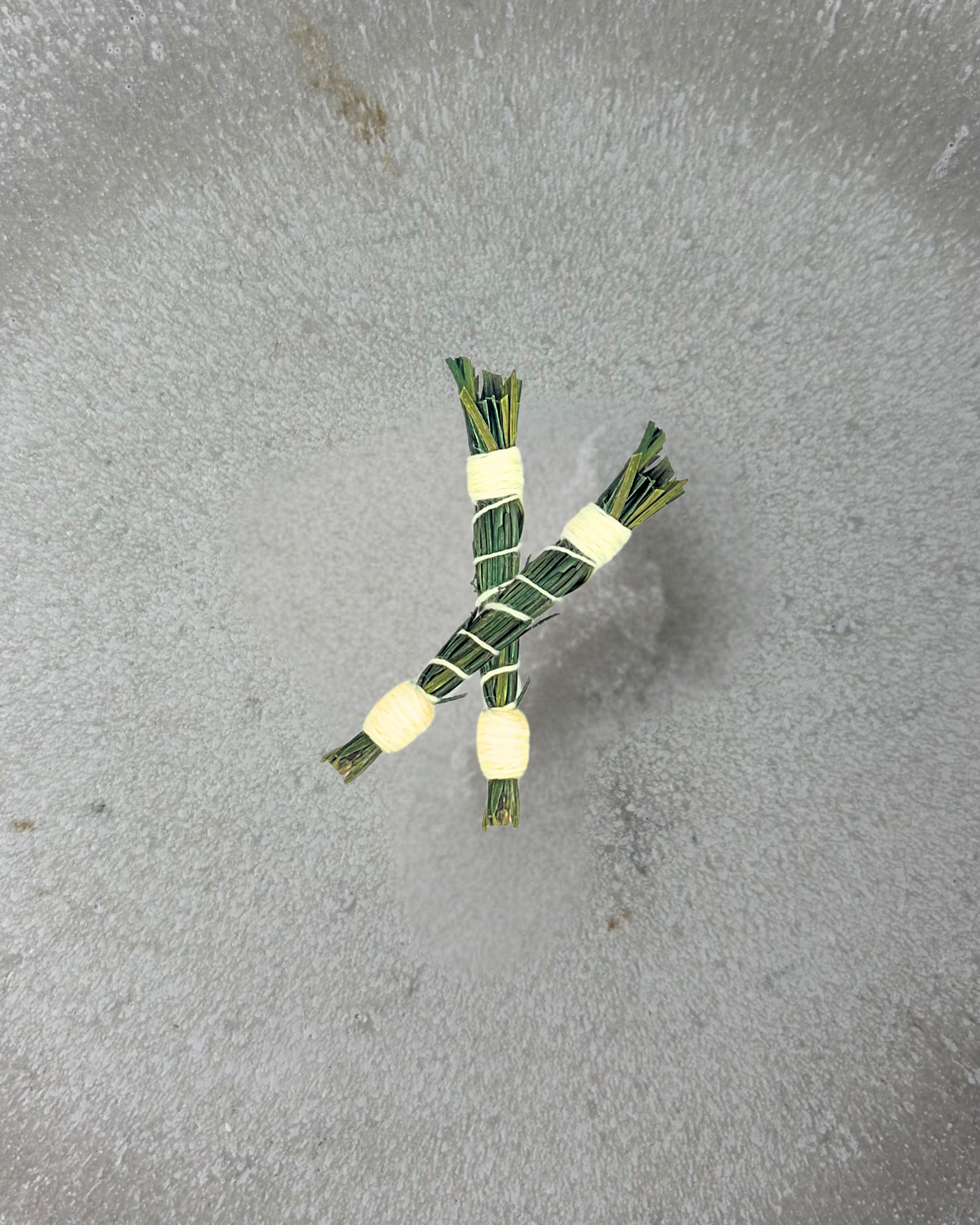 Pine Element