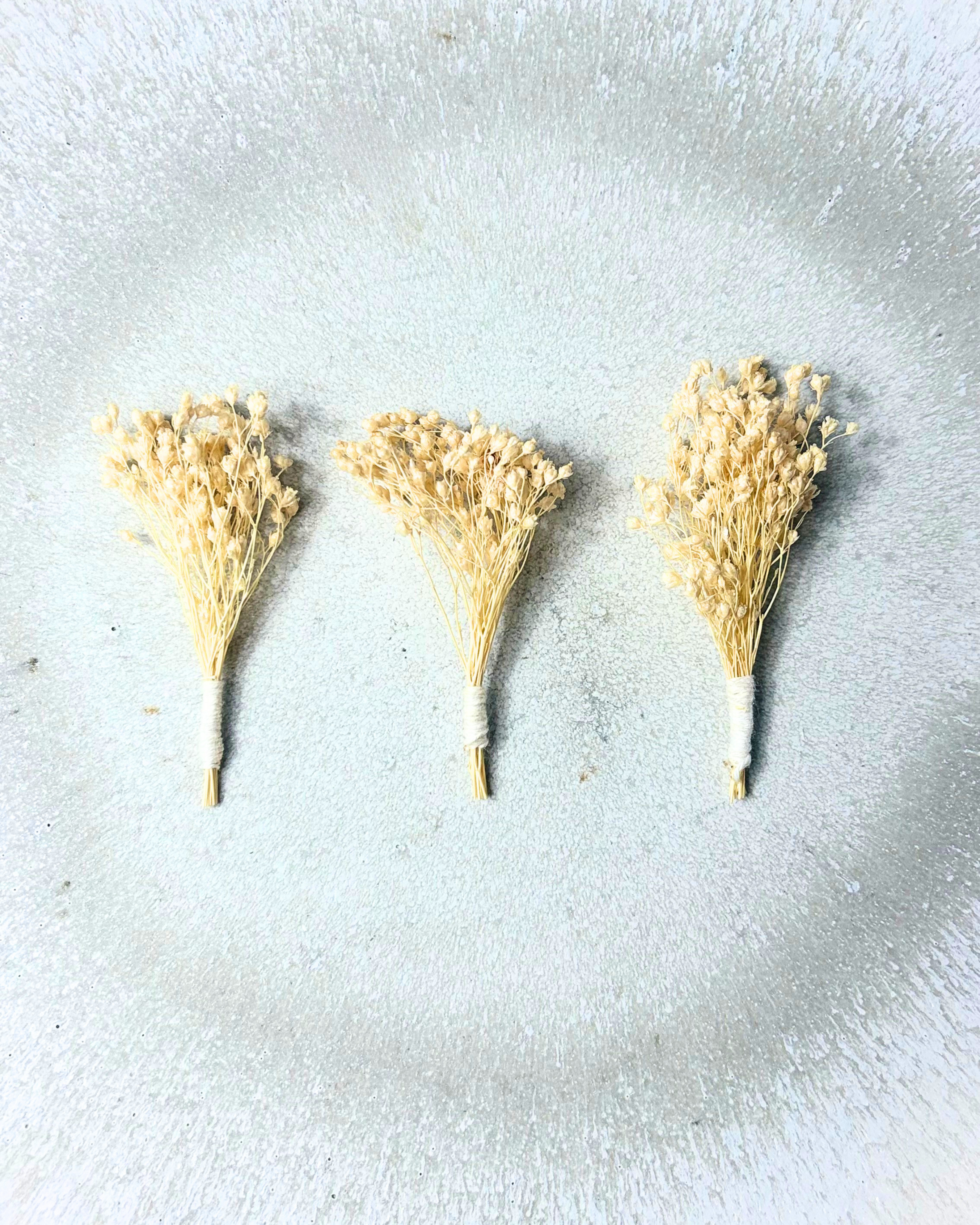 Achillea Element