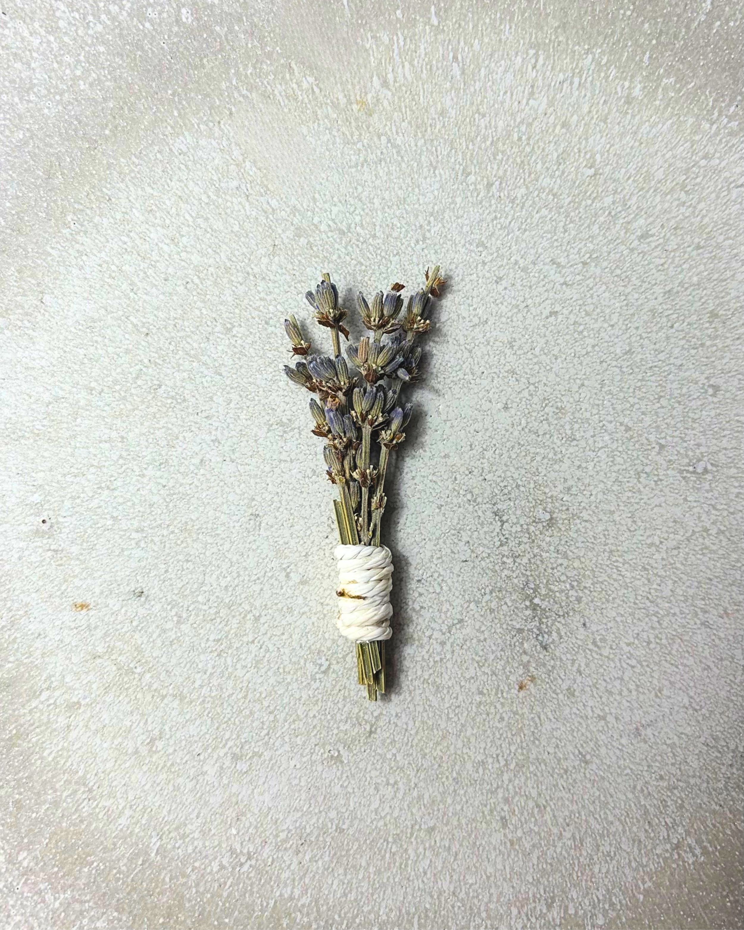 Lavender Element