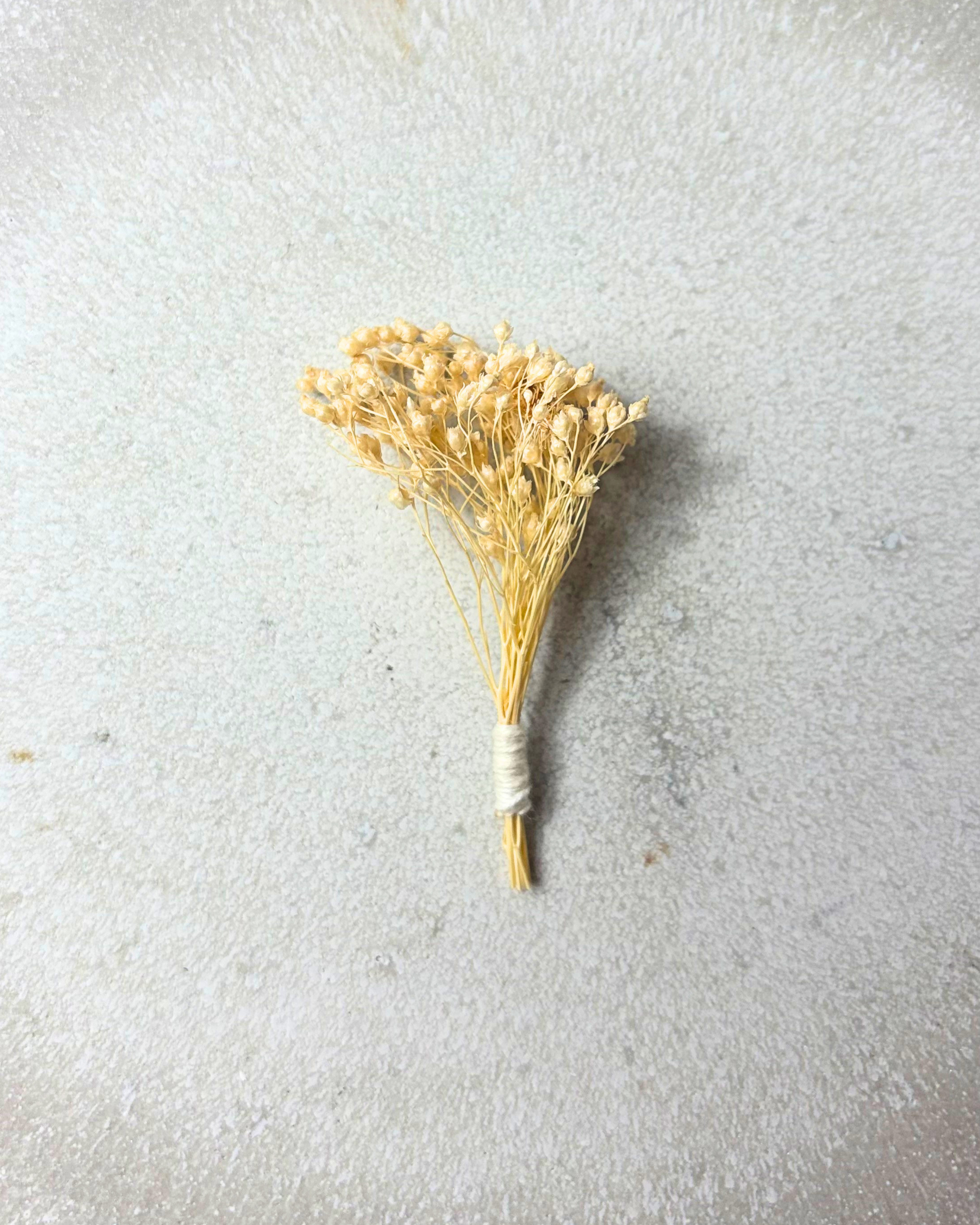 Achillea Element