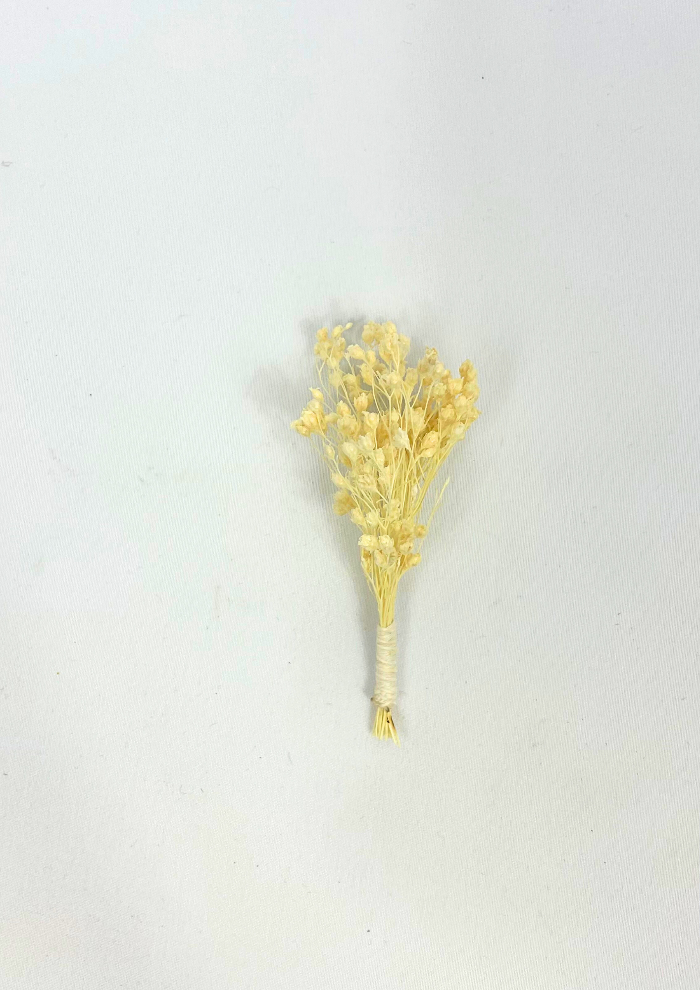 Achillea Element